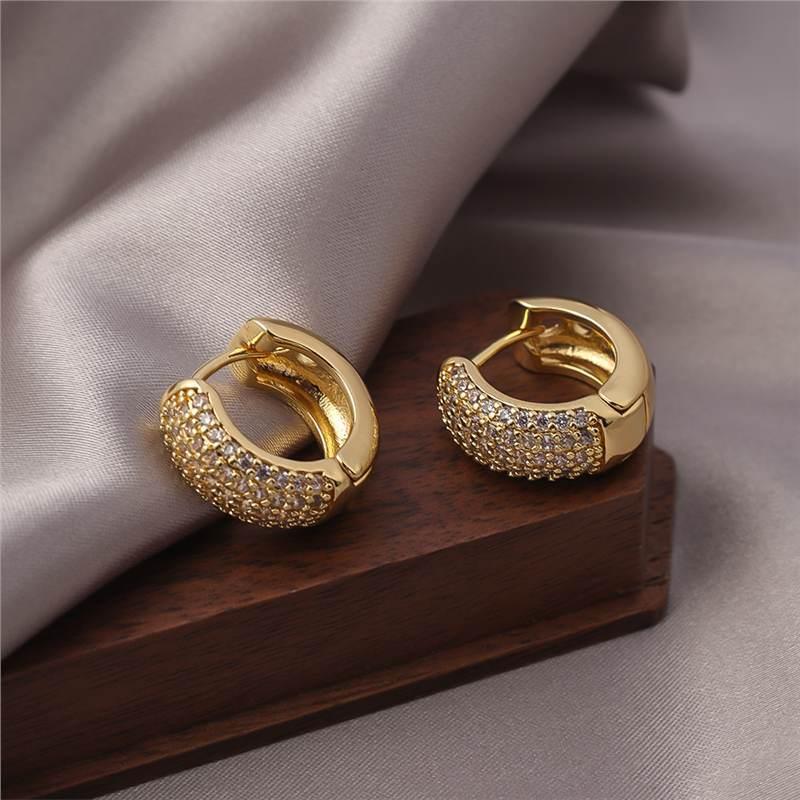 Micro Inlaid Zircon Large Earrings Women's Light Luxury High-Grade Earrings Design Sense Niche Ear Buckle Exaggerated Square round Face Ear Ring