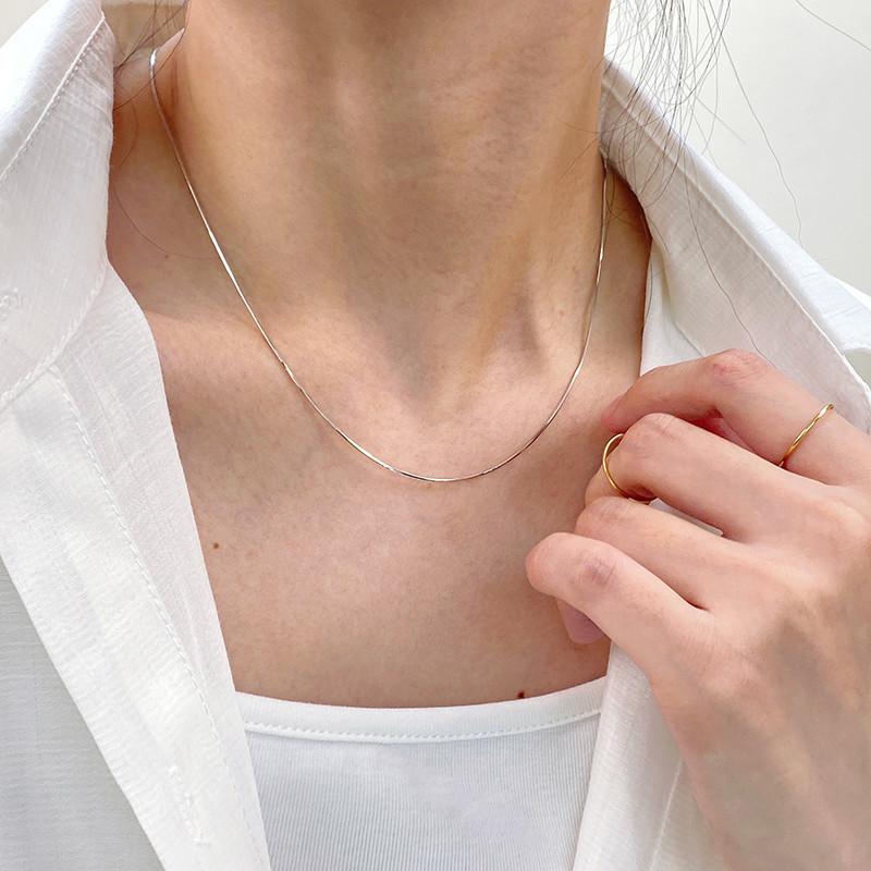 Titanium Steel Ultra-Fine Chain Snake Bone Necklace Women's Light Luxury Niche Necklace High-Grade Clavicle Chain Ins Cold Style Accessories
