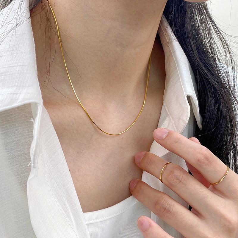 Titanium Steel Ultra-Fine Chain Snake Bone Necklace Women's Light Luxury Niche Necklace High-Grade Clavicle Chain Ins Cold Style Accessories