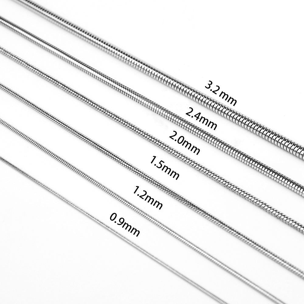 Jewelry Snake Chain Bone Chain Necklace Men's Trendy Light Luxury Niche Design Chain Thin Men's Chain Titanium Steel Women's Clavicle Chain