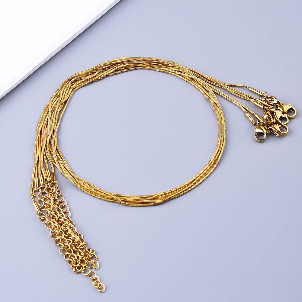 Jewelry Snake Chain Bone Chain Necklace Men's Trendy Light Luxury Niche Design Chain Thin Men's Chain Titanium Steel Women's Clavicle Chain