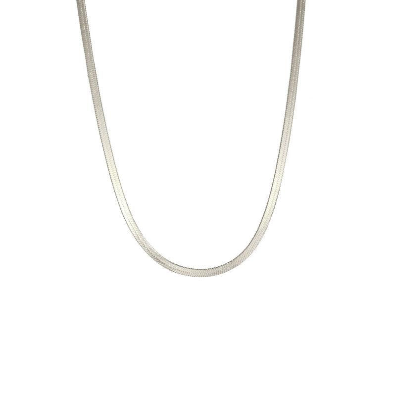 Simple Fashion Blade Snake Bone Necklace Unisex Flat Snake Chain Cross-Border Hot Selling Stainless Steel Clavicle Chain